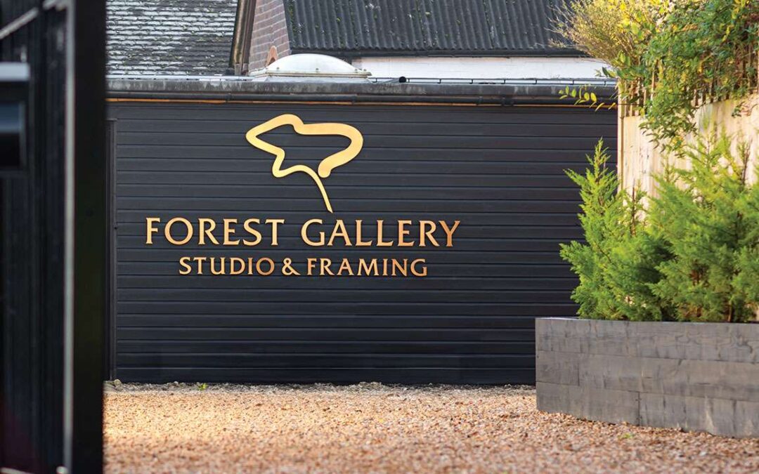 Forest Gallery