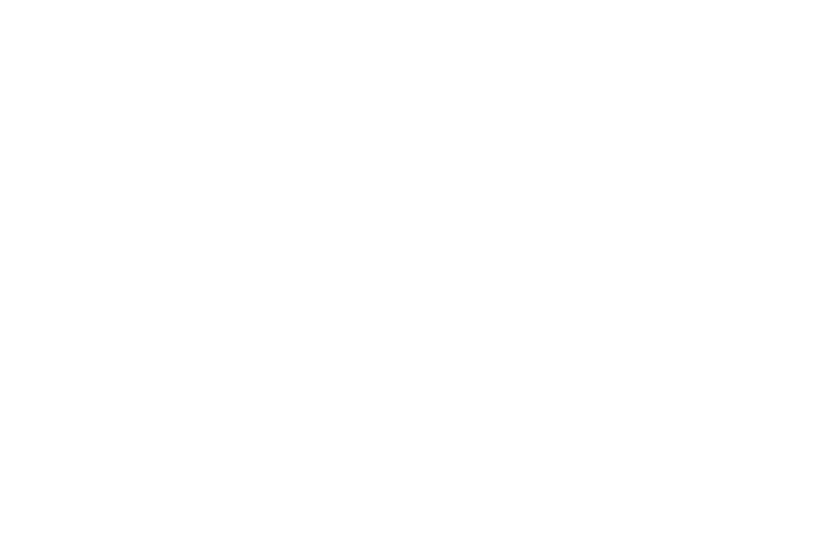 ALCo Decorating Logo