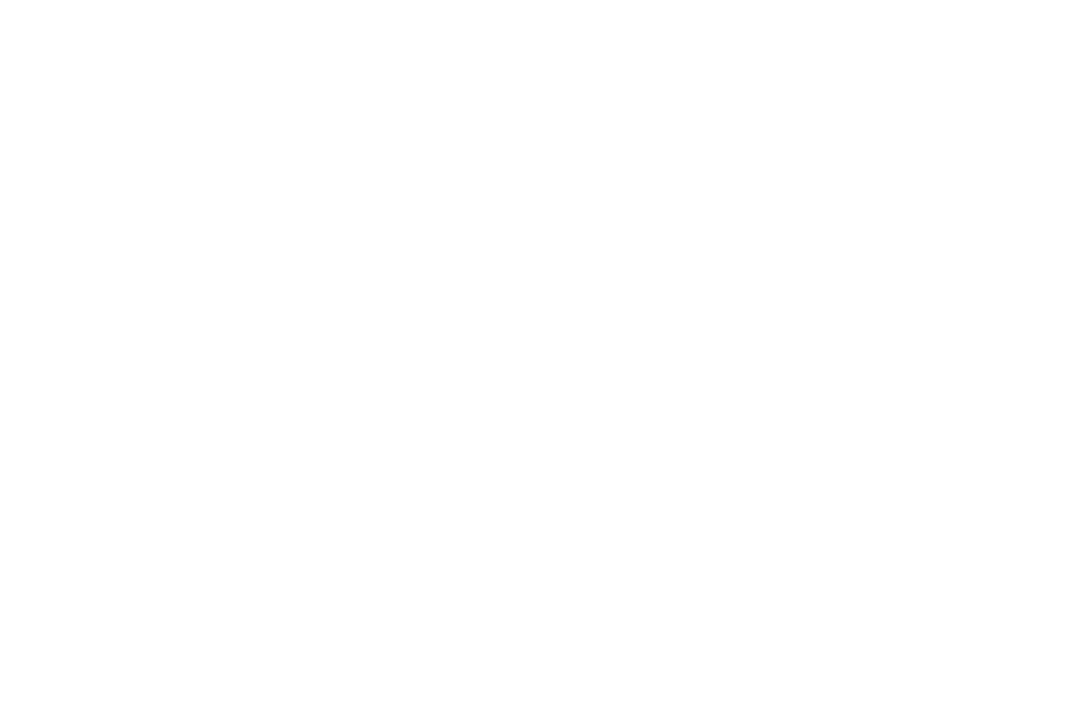 ALCo Construction Logo