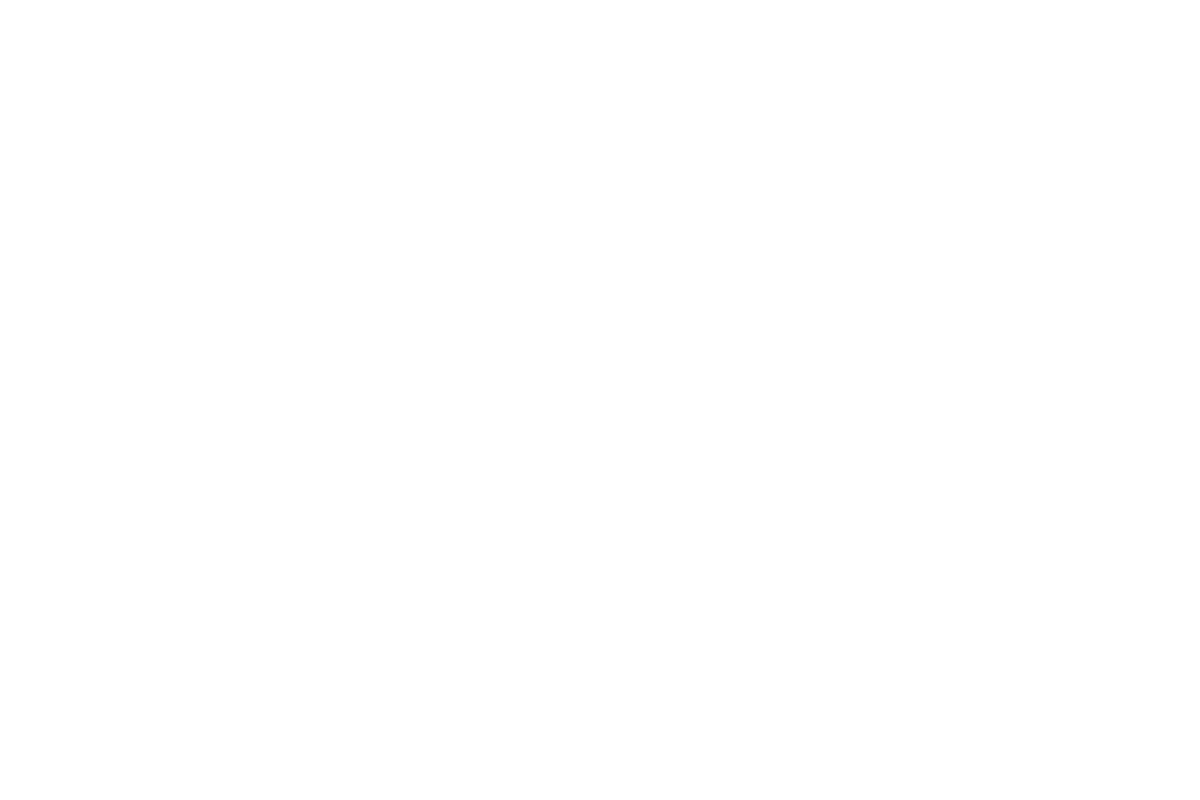 ALCo Group Logo