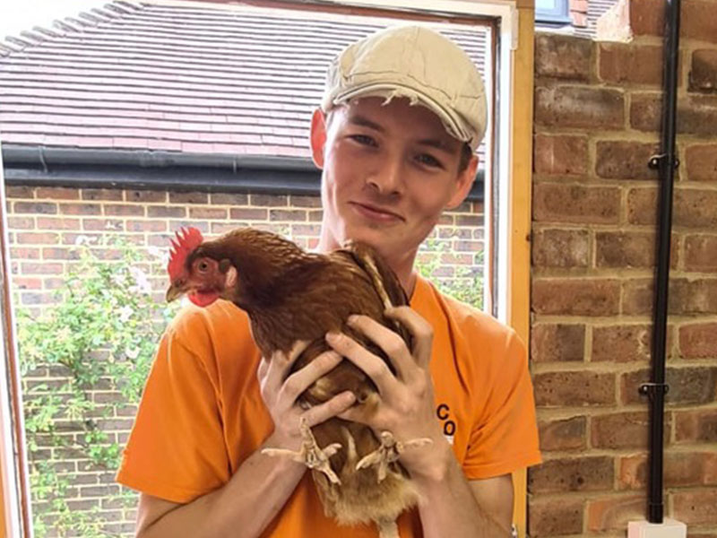 Renovating with Pets: How to Keep Your Animals Safe During a Home Renovation